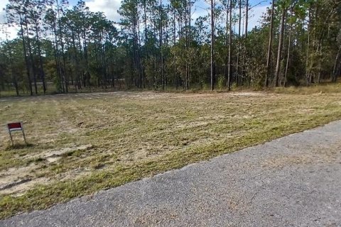 Land in Dunnellon, Florida № 2162740 - photo 4