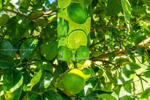 Купить виллу или дом в Майами, Флорида 3 спальни, 238.2м2, № 1964895 - фото 13