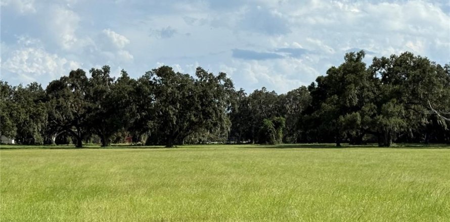 Land in Webster, Florida № 1877037
