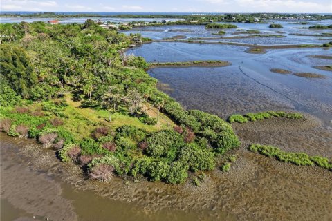 Terrain à vendre à Cedar Key, Floride № 2218160 - photo 6