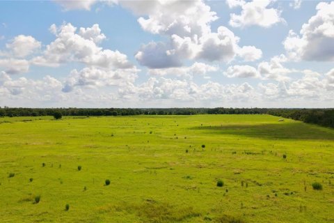 Terreno en venta en Wimauma, Florida № 1914516 - foto 18