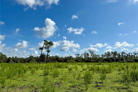 Terreno en venta en Wimauma, Florida № 1914516 - foto 4