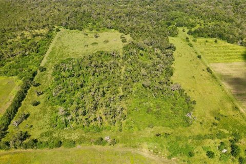 Terreno en venta en Wimauma, Florida № 1914516 - foto 16