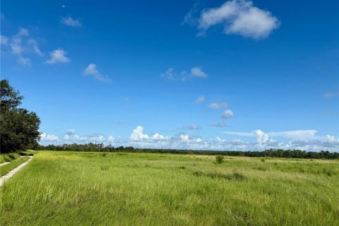 Terreno en venta en Wimauma, Florida № 1914516 - foto 8