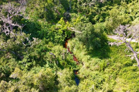 Terreno en venta en Wimauma, Florida № 1914516 - foto 13