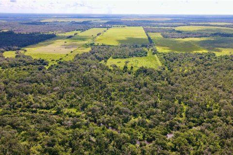 Terreno en venta en Wimauma, Florida № 1914516 - foto 17