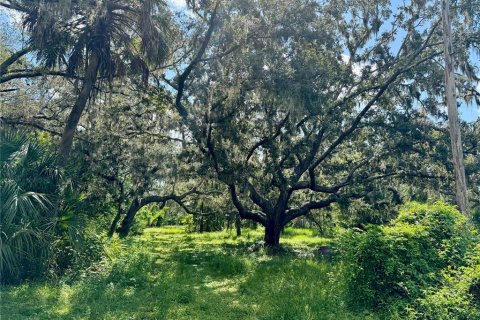 Terreno en venta en Wimauma, Florida № 1914516 - foto 9