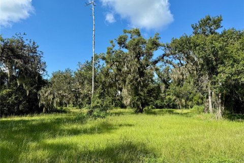 Terreno en venta en Wimauma, Florida № 1914516 - foto 7