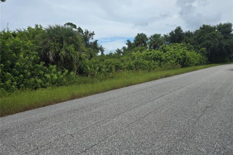 Land in Port Charlotte, Florida № 2164214