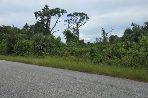 Land in Port Charlotte, Florida № 2164214 - photo 5