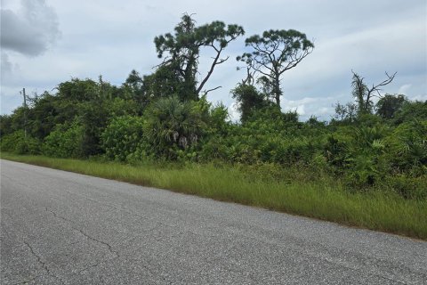 Land in Port Charlotte, Florida № 2164214 - photo 9
