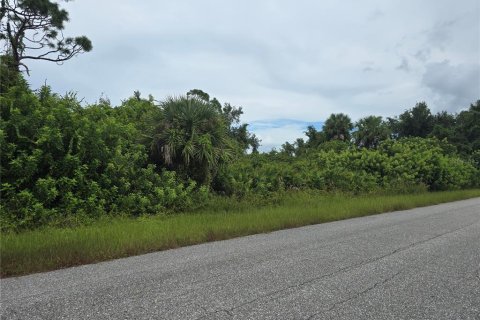 Land in Port Charlotte, Florida № 2164214 - photo 6
