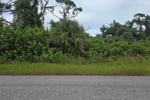 Land in Port Charlotte, Florida № 2164214 - photo 4