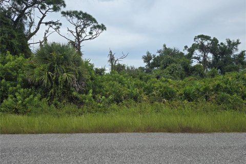 Land in Port Charlotte, Florida № 2164214 - photo 8