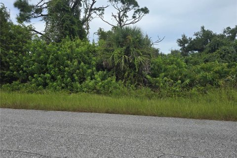 Land in Port Charlotte, Florida № 2164214 - photo 2