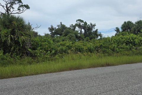 Land in Port Charlotte, Florida № 2164214 - photo 3