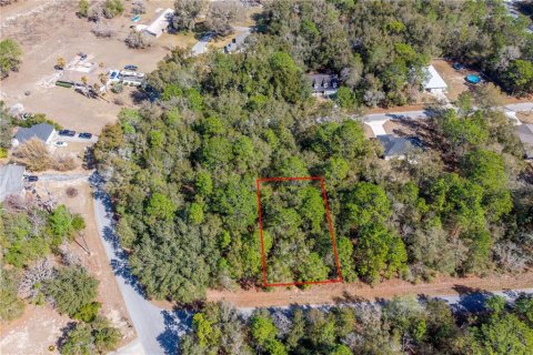 Land in Williston, Florida № 2165754 - photo 2