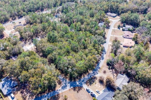 Land in Williston, Florida № 2165754 - photo 7