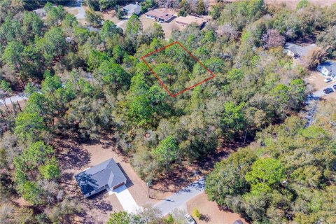 Land in Williston, Florida № 2165754 - photo 5
