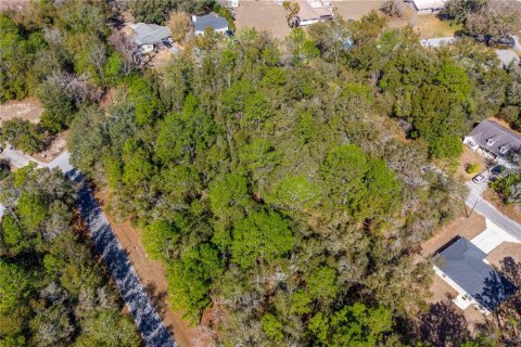 Land in Williston, Florida № 2165754 - photo 6