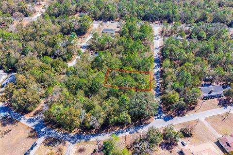 Land in Williston, Florida № 2165754 - photo 4