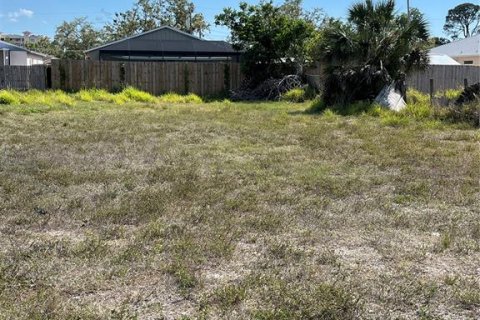 Land in Sarasota, Florida № 1732413 - photo 1