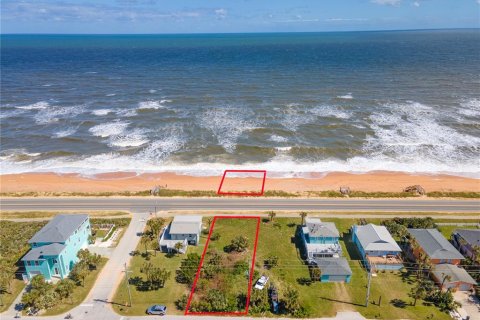 Land in Flagler Beach, Florida № 1411570 - photo 2