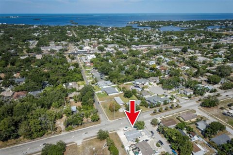 House in Palm Harbor, Florida 3 bedrooms, 130.43 sq.m. № 2391540 - photo 5