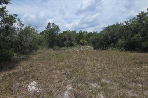 Commercial property in Okeechobee, Florida № 2183075