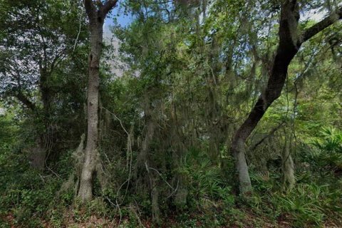 Immobilier commercial à vendre à Deltona, Floride № 2395585 - photo 4