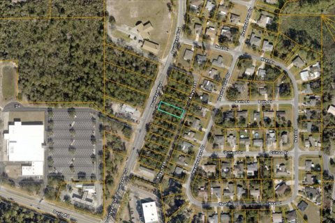 Immobilier commercial à vendre à Deltona, Floride № 2395585 - photo 3