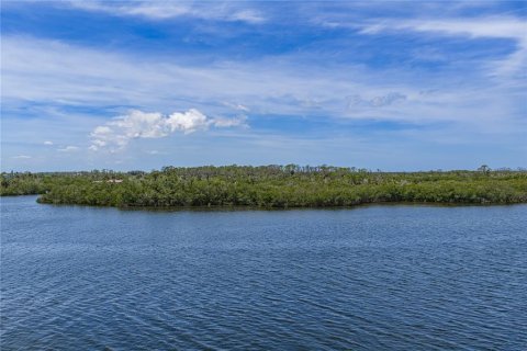 Condo in Port Richey, Florida, 2 bedrooms № 2105109 - photo 3