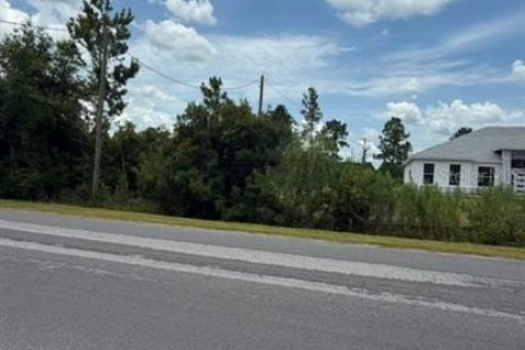 Terrain à vendre à Orlando, Floride № 2201960 - photo 3