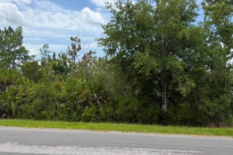 Terrain à vendre à Orlando, Floride № 2201960 - photo 11