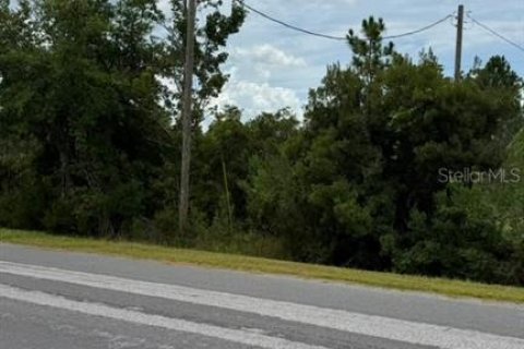 Terrain à Orlando, Floride № 2201960