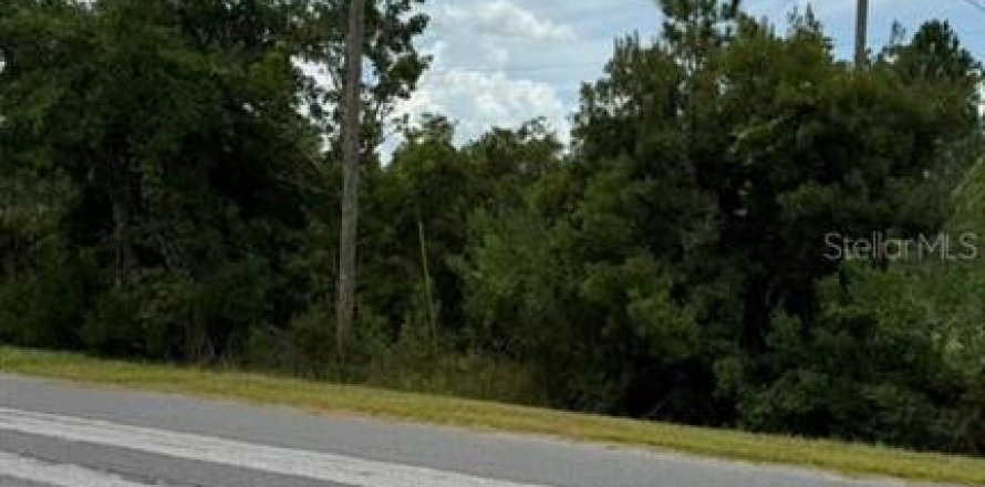 Terrain à Orlando, Floride № 2201960