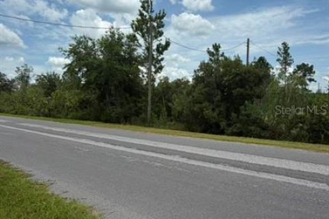 Terrain à vendre à Orlando, Floride № 2201960 - photo 5