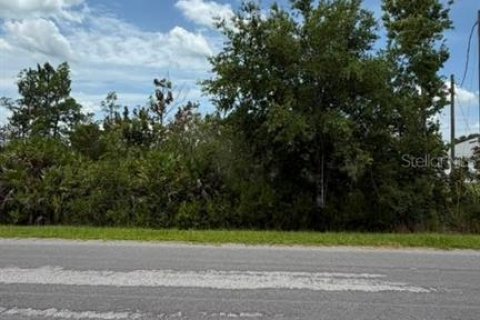 Terrain à vendre à Orlando, Floride № 2201960 - photo 7