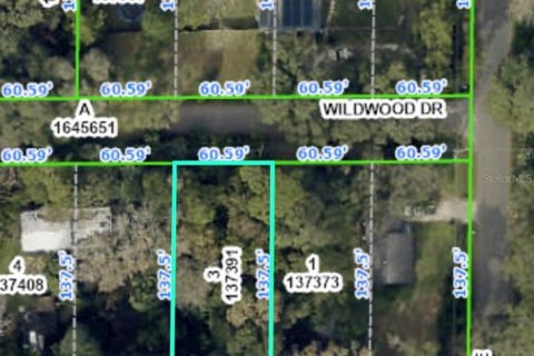Land in Brooksville, Florida № 2159313
