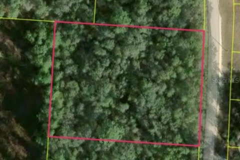 Land in Webster, Florida № 2228168 - photo 2