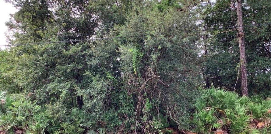 Land in Orlando, Florida № 1834698
