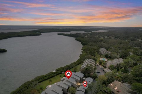 Condo in Clearwater, Florida, 2 bedrooms  № 1912192 - photo 2