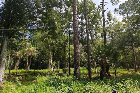Terrain à vendre à Kissimmee, Floride № 2207001 - photo 6