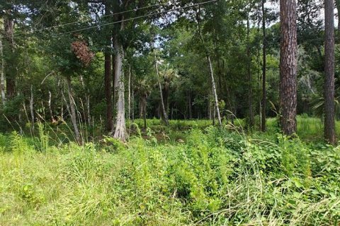 Terrain à Kissimmee, Floride № 2207001