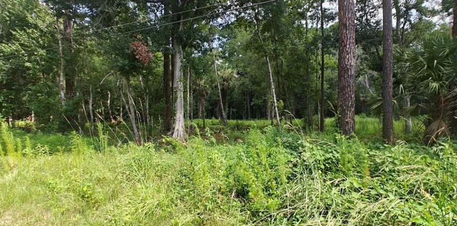 Terrain à Kissimmee, Floride № 2207001