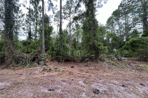 Terreno en Georgetown, Florida № 2211695