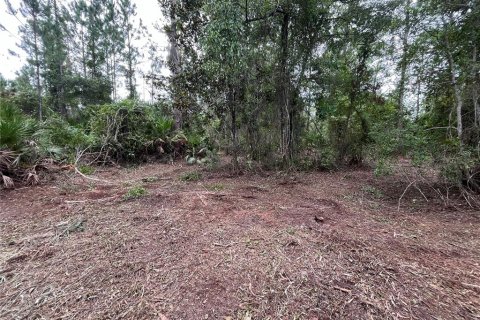 Terrain à vendre à Georgetown, Floride № 2211695 - photo 4