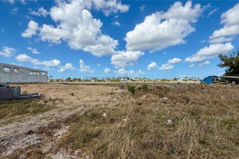 Casa en venta en Cape Coral, Florida, 3 dormitorios, 240.62 m2 № 2097448 - foto 9