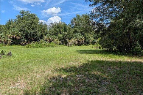 Villa ou maison à vendre à Pierson, Floride: 3 chambres, 136.29 m2 № 2339645 - photo 14