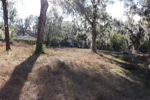 Villa ou maison à vendre à Inverness, Floride: 3 chambres, 173.26 m2 № 2196340 - photo 7